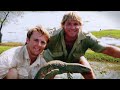 The Crocodile Hunter The Steve Irwin Story