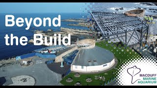 Steel-ing the Show - Beyond the Build Vlogs