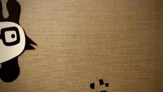 Japanther - "Come Back Home" (Official Video)