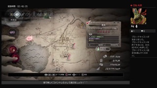 仁王　　巌流で逆波練習！