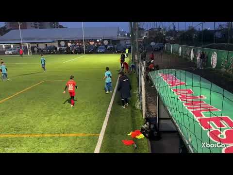 New Stars - Mircea Eliade (Amfb 2012)