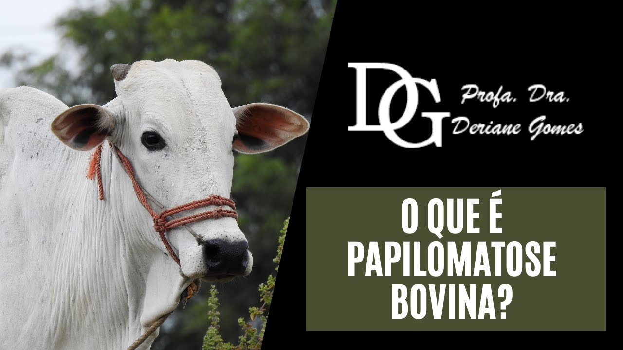 028. O que é Papilomatose Bovina?