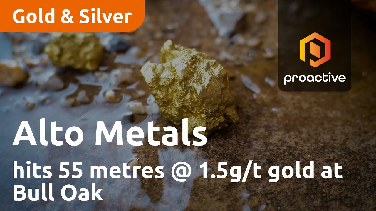 Alto Metals hits 55 metres @ 1.5g/t gold at Bull Oak