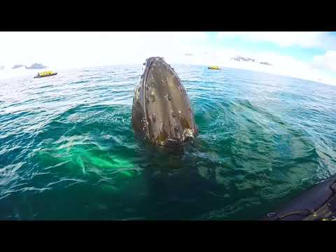 Travel Through Anticipation - The Song