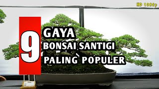 Download lagu 9 Gaya Bonsai Santigi Paling Populer | Pemphis Acidula mp3