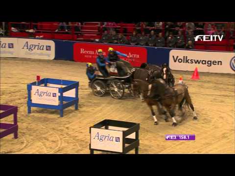FEI World Cup™ Driving 2013/14 Stockholm - Tomas Eriksson 1st Place