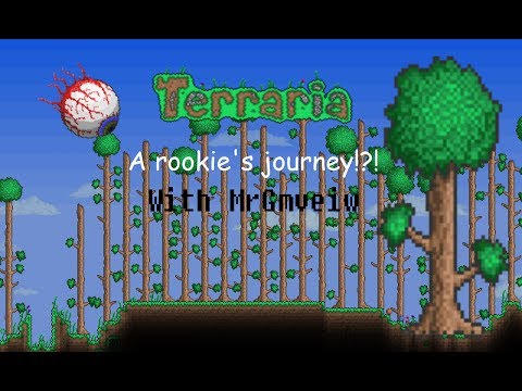 Let's Play Terraria 121 Save the Jungle! Jet Pack, Solar Eclipse