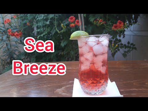 Sea breeze: How to make homemade sea breeze cocktail