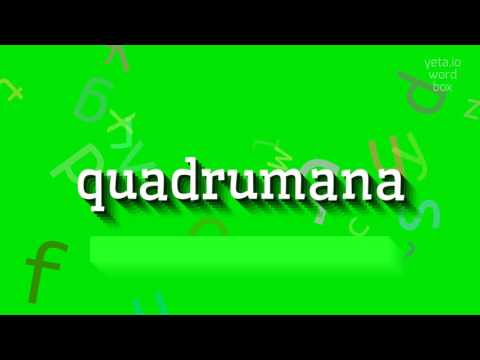 QUADRUMANA – WIE SPRICHT MAN QUADRUMANA AUS? (QUADRUMANA - HOW TO PRONOUNCE QUADRUMAN