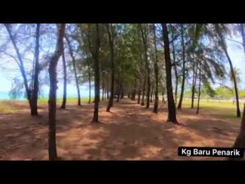 Pantai Penarik, Setiu