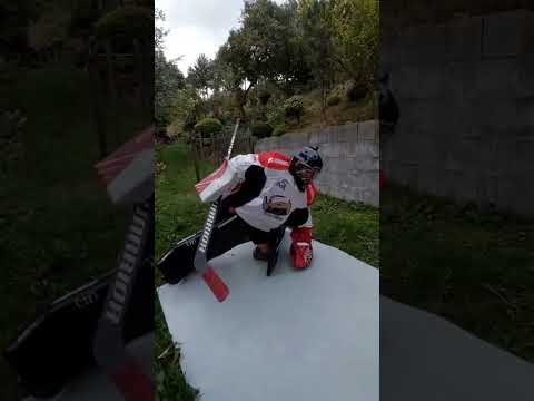 Nahrajte holkám-podpořte ženský hokej.
