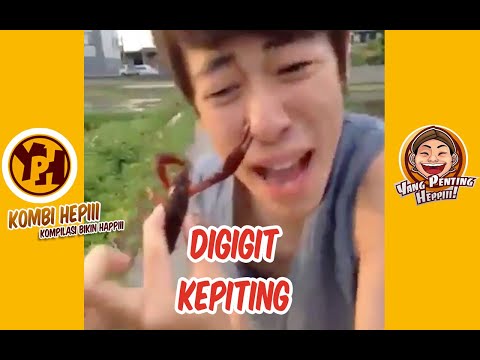 kombi-heppiii-digigit-kepiting