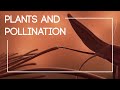 What Would Plants Look Like On An Alien World I The Isla Project Episode 1