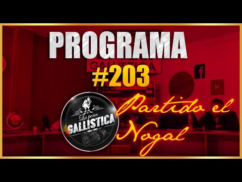 programa 203