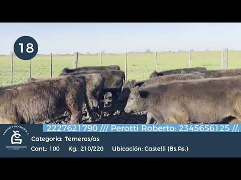 Lote M Y H - Castelli Bs As