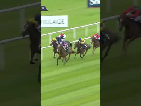 Jockey causes mayhem in race! #horseracing #horses #jockey #shorts