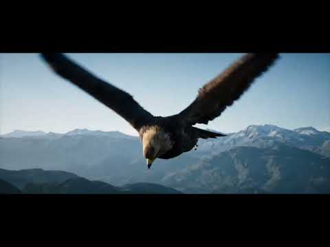 The Eagle - Eyes of Power