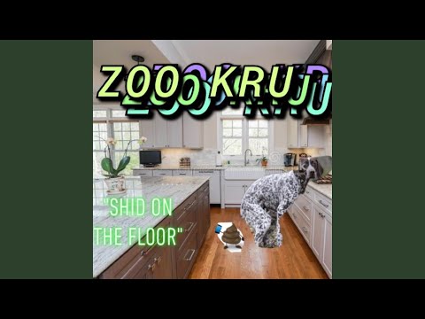 Shid on the Floor (Freestyle)