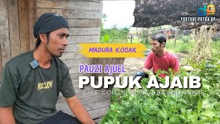 Download lagu AJUEL PUPUK JAIB FAUZI || PUTRA DP mp3