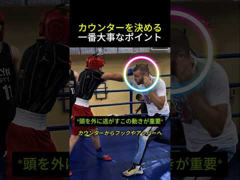 カウンターはここが重要 #ボクシング