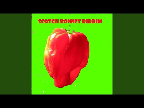 Scotch Bonnet Riddim