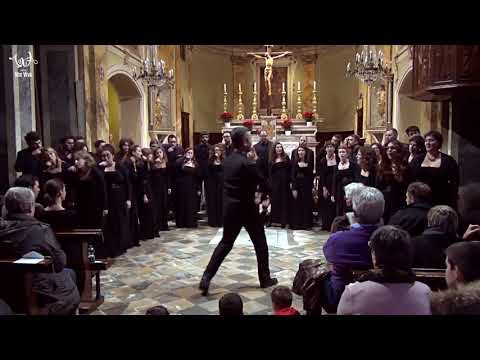 Coro Vox Viva - Christmas Trip