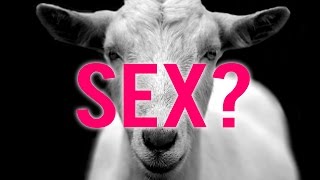 This "Would You Rather?" Will Make You Sweat Hardcore