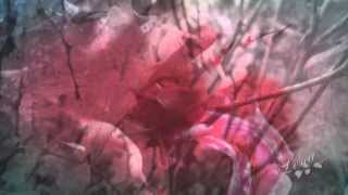 Every Rose Has Its Thorn ☸ڿڰۣ-ڰۣ— Rob Adiska (cover, with lyrics) HD