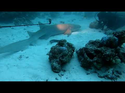 Straight outta the "plain" / Bangalore / Enjoy