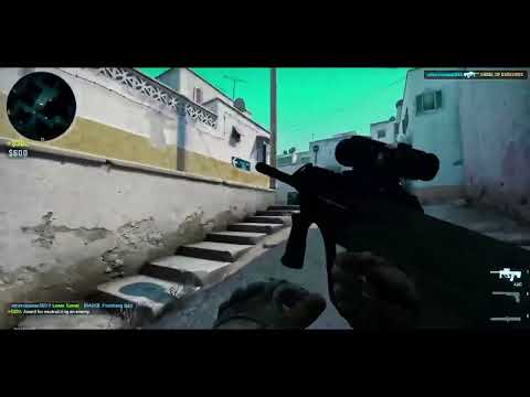 Back to Business🐱‍💻