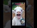 Shorts Comed Yvideo Viral Shorts Apk Official