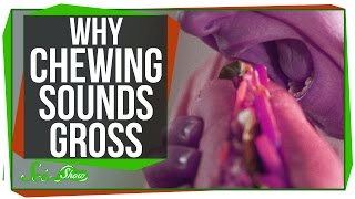 Why Is The Sound Of Chewing So Awful?