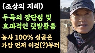 두둑의 장단점 및 효과적인 텃밭활용???? 두둑? 고랑? 이랑? 두렁 등 용어설명???? 농사잘 지으려면 가…