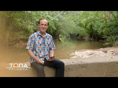 Toda Palabra - Perseverancia y consistencia