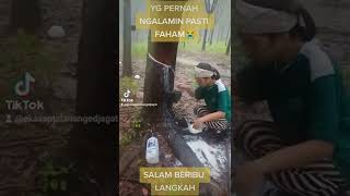 Download lagu SALAM BERIBU LANGKAH PETANI KARET INDONESIA DAN DUNIA...🖐🖐 mp3