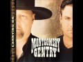 Montgomery Gentry  The Fine Line