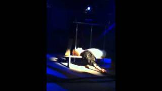 Musical på Stevns gymnastik og idrætsefterskole