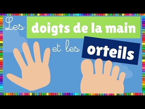 Vidéo 1