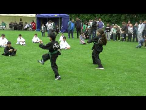 Dritte Hyong Grüngurte 26 05 2016 Blaschkeplatz