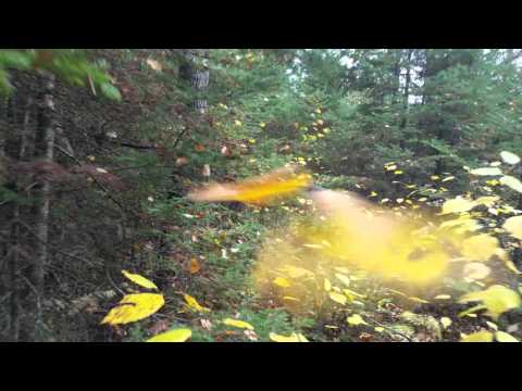 Gerhard's World....!!!