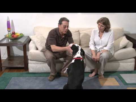 So and Such - A One Minute Video English Lesson