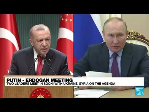 Putin and Erdogan seek common ground as Turkey, Russia remain 'on opposite ends of major conflicts'