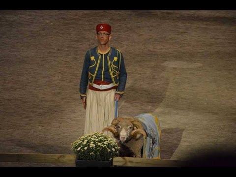 Ystad International Military Tattoo 2013 Alle Bands