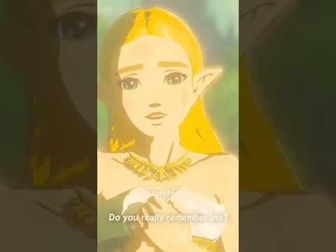 When you still wear your stupid outfit during the cutscene | Zelda BotW