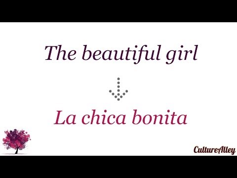 Basic Spanish | Lesson 26 | Describing people and personality traits (using adjectives)