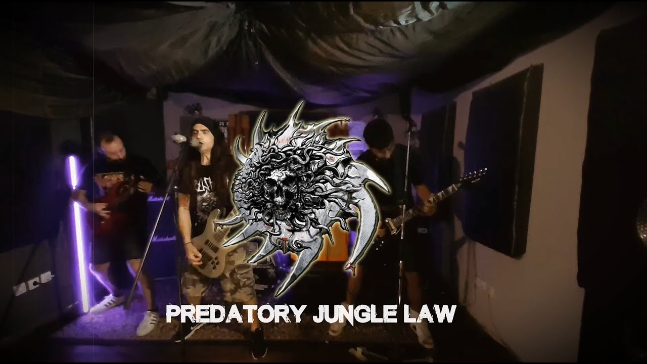 'Predatory Jungle Law' video clip thumbnail
