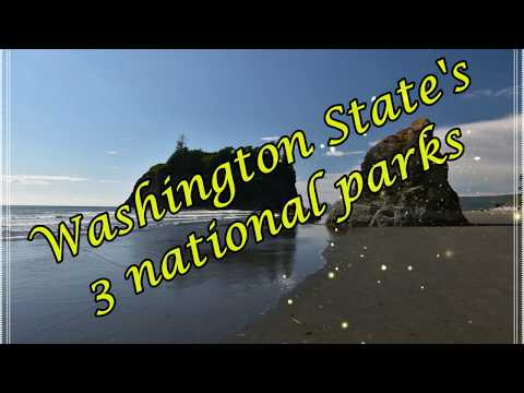 Mt. Rainier, Olympic, North Cascades 🌲 ~ Washington State's 3 National Parks