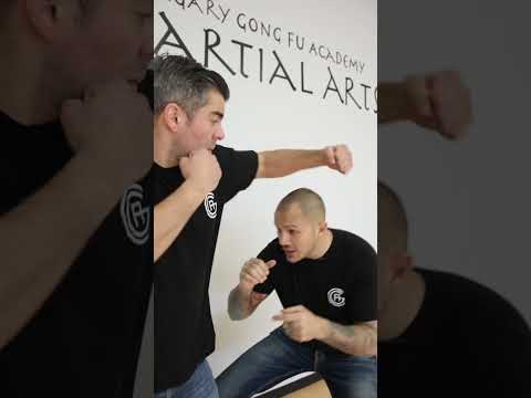 Boxing vs Wing Chun - Self Defense and Martial Arts