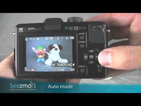 Panasonic GF1:Auto Mode Guide