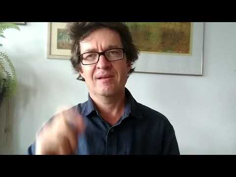 Kaval D, wood: palisander